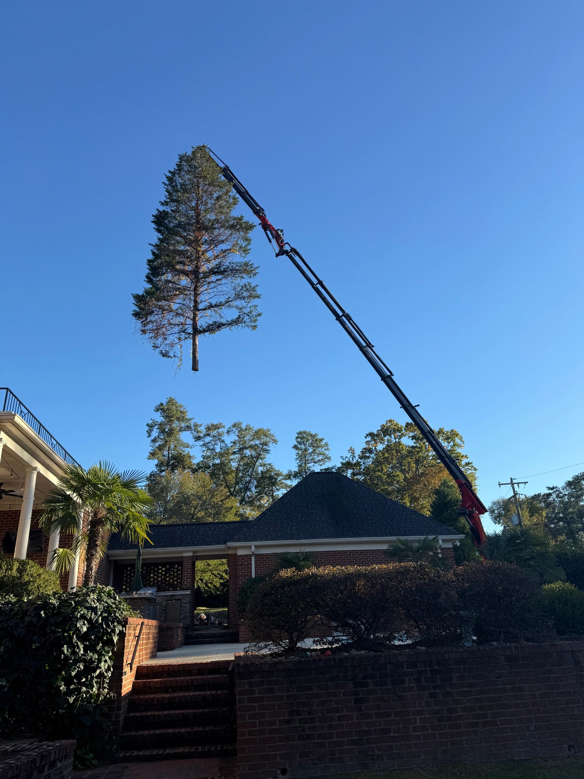 Crane lifting pine section over brick house in West Columbia SC